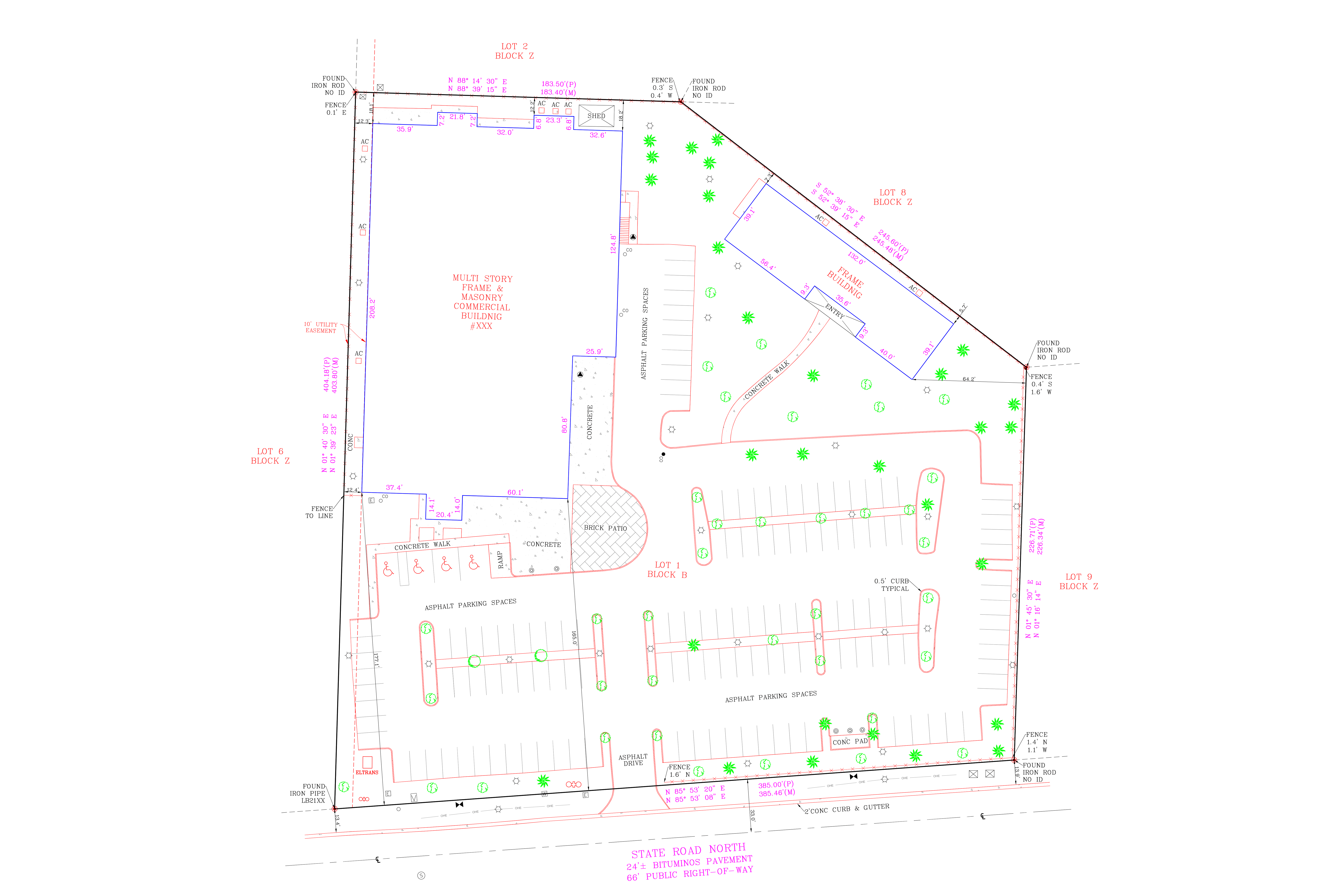 ALTA Land Title Surveying